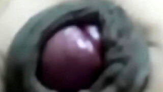 bbc,big cock,desi,dick,furry,indian,jerking,masturbating