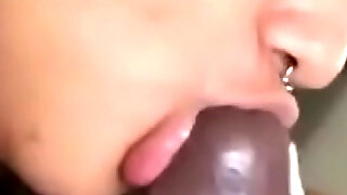 bbc,big cock,blowjob,chubby,deepthroat,desi,sucking
